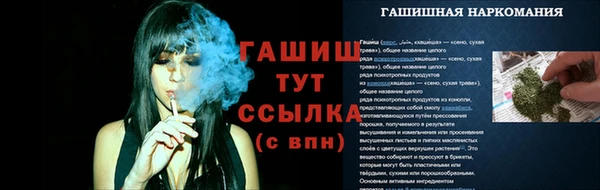 apvp Арсеньев