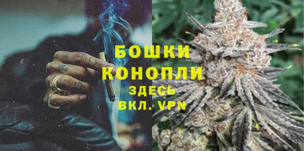 apvp Арсеньев