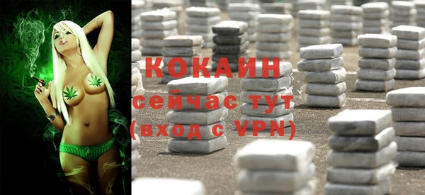 спиды Армянск