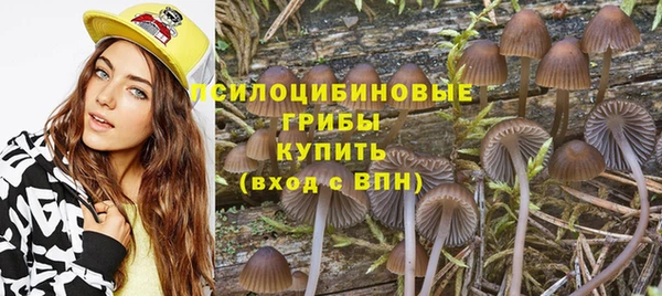 apvp Арсеньев