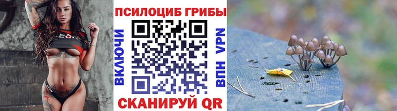 Псилоцибиновые грибы MAGIC MUSHROOMS  Купить  Тутаев 