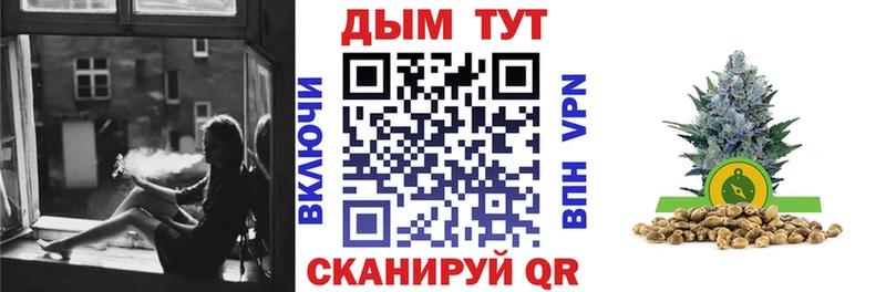 Купить где  Тутаев  Каннабис индика 